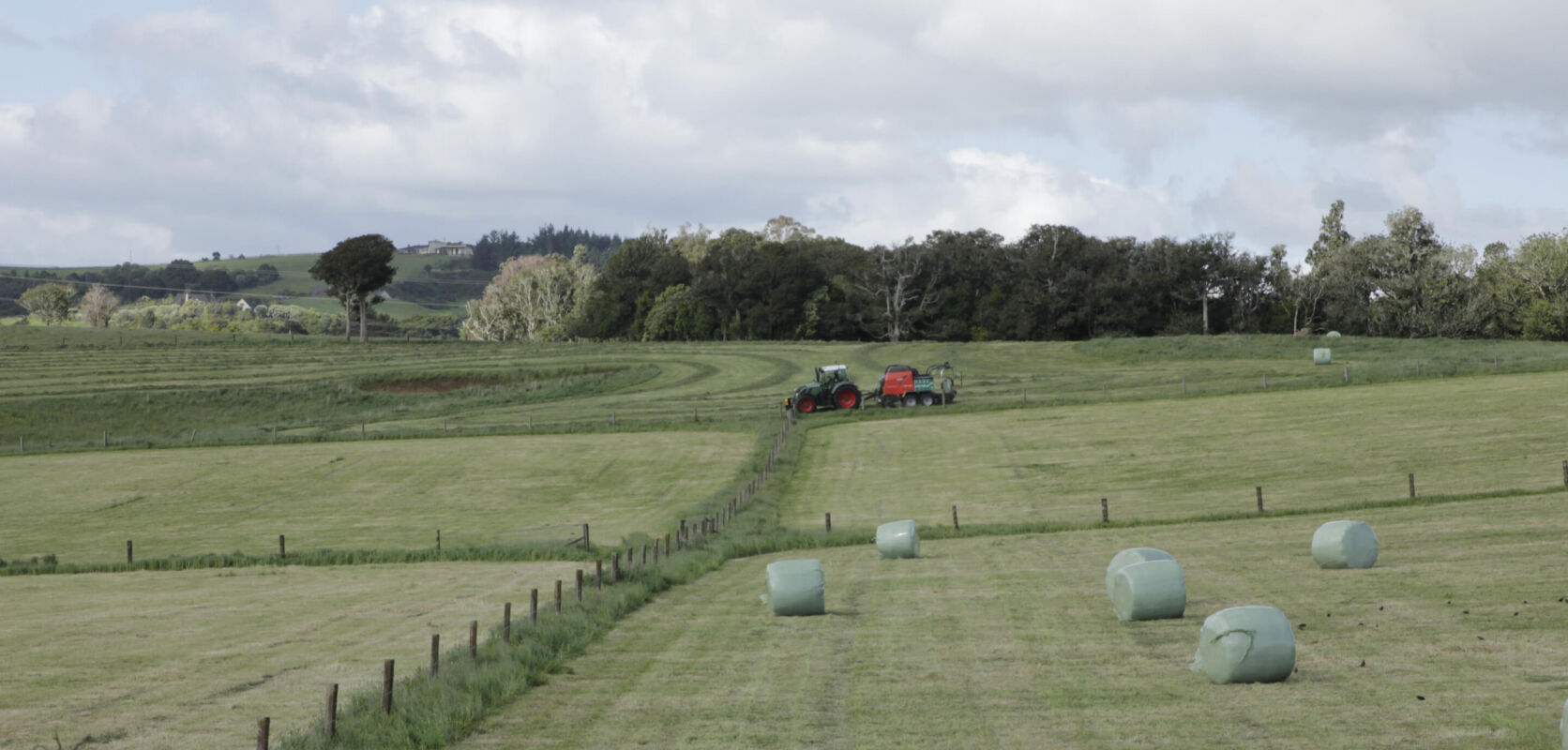 Testimonial: K & H Frost