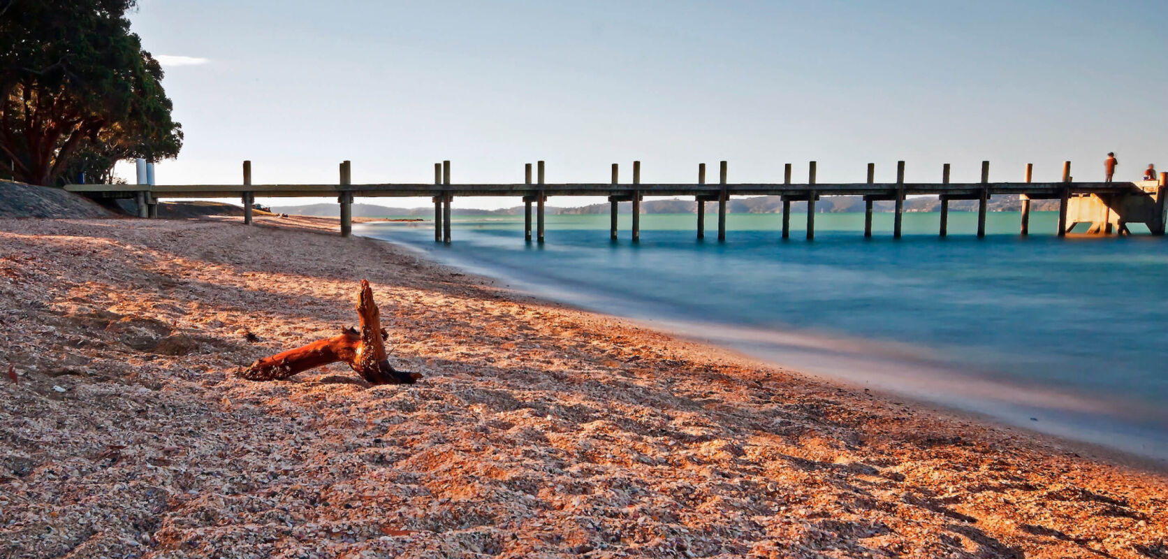 Testimonial: P & M Burr