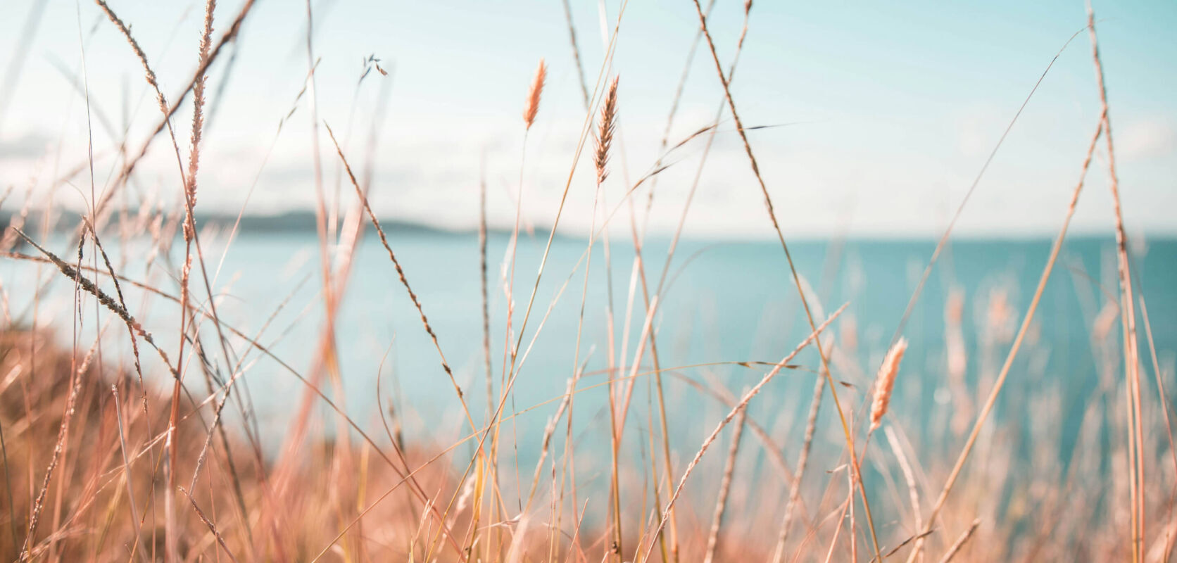 Testimonial: L Liefting