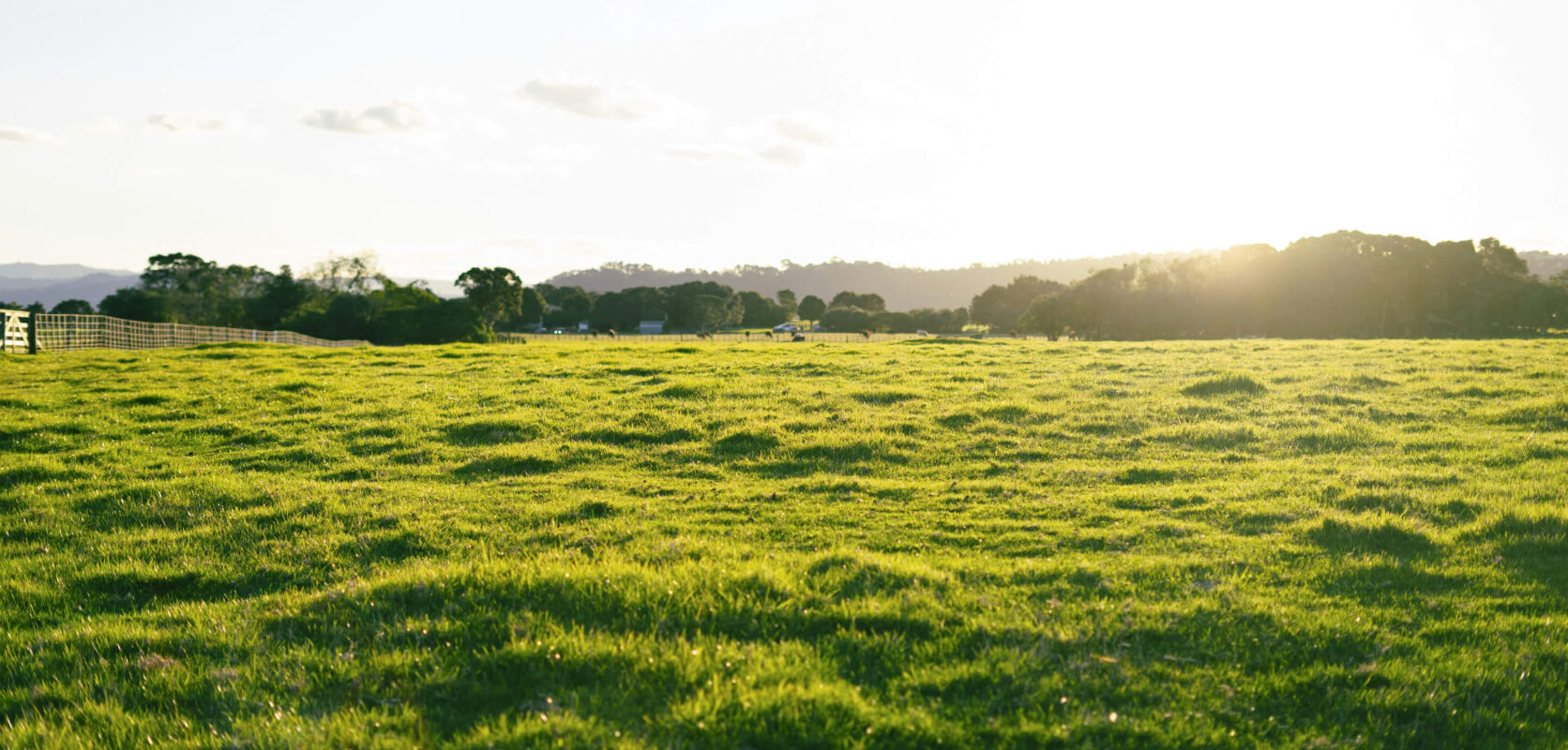 Testimonial: C Foley