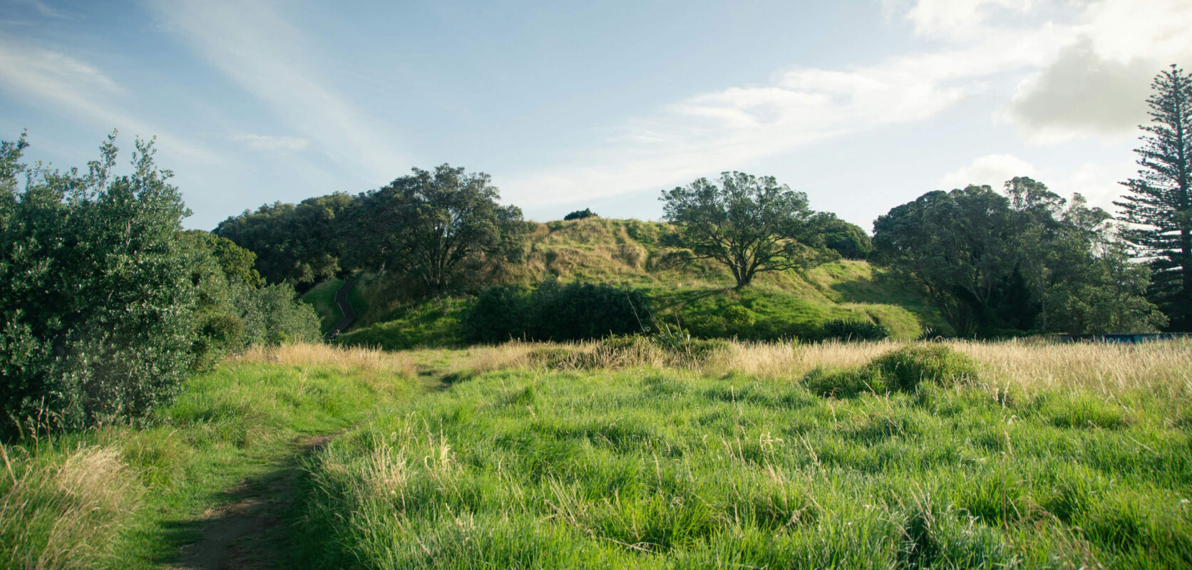 Testimonial: N & S Jamieson