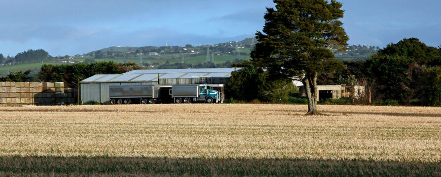 Our Services Overview